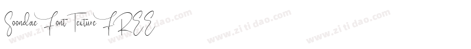 Soondae Font Texture FREE字体转换